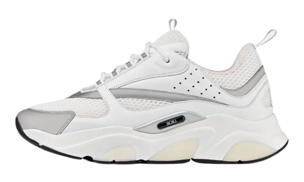 Dior B22 'White Grey'